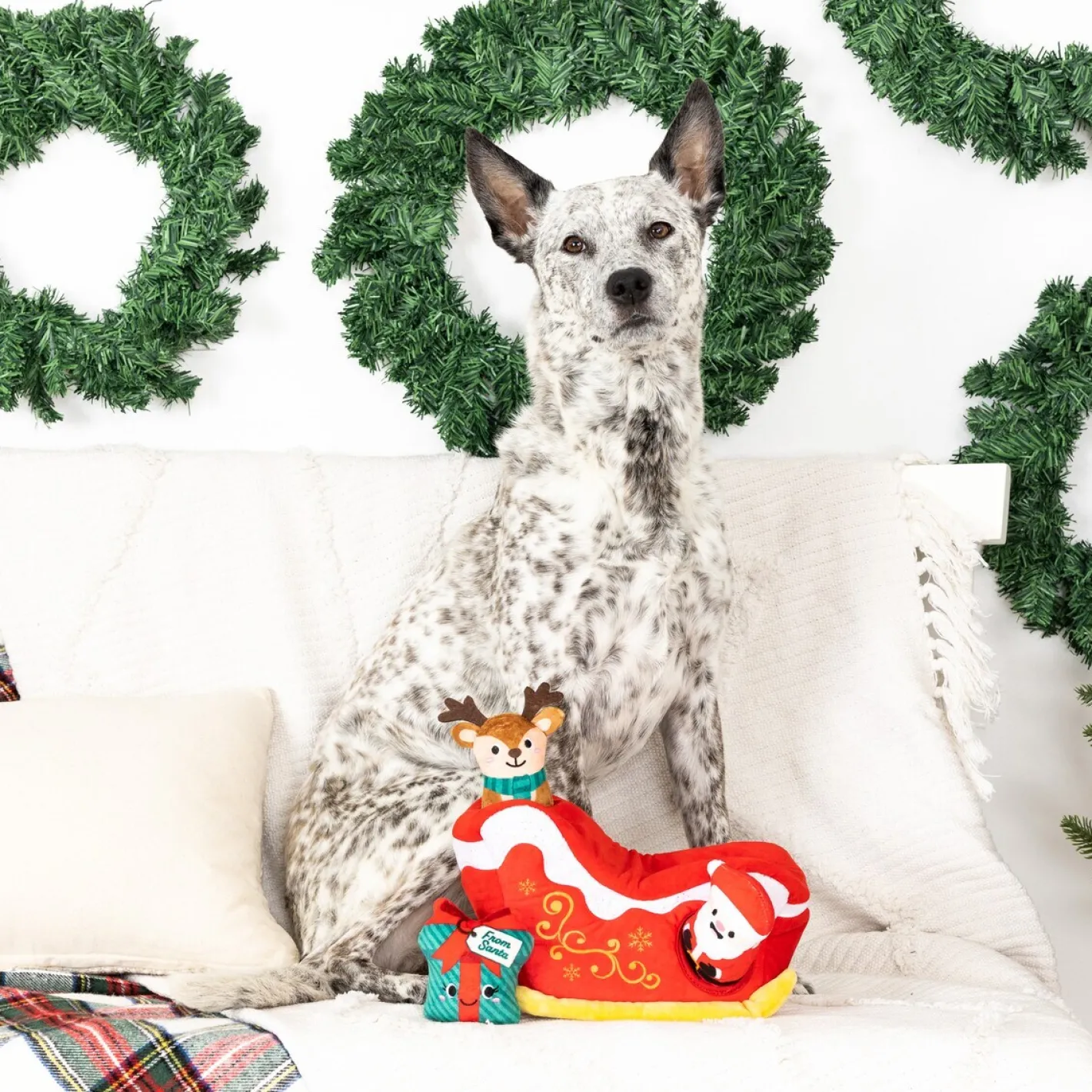 Fringe Studio Hold On For Deer Life Hide & Seek Burrow Christmas Dog Toy Clearance