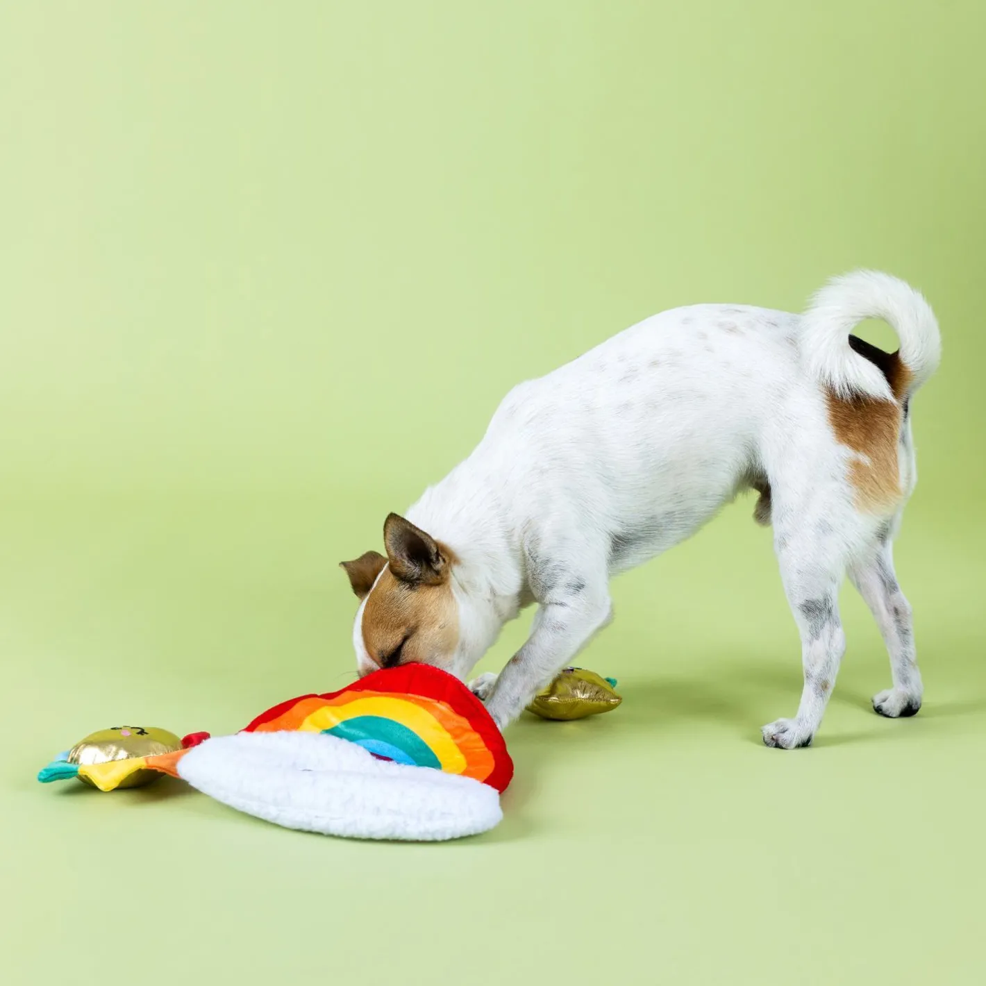 Fringe Studio Look On Bright Side Rainbow Hide & Seek Burrow Dog Toy Clearance