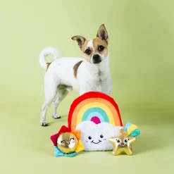 Fringe Studio Look On Bright Side Rainbow Hide & Seek Burrow Dog Toy Clearance