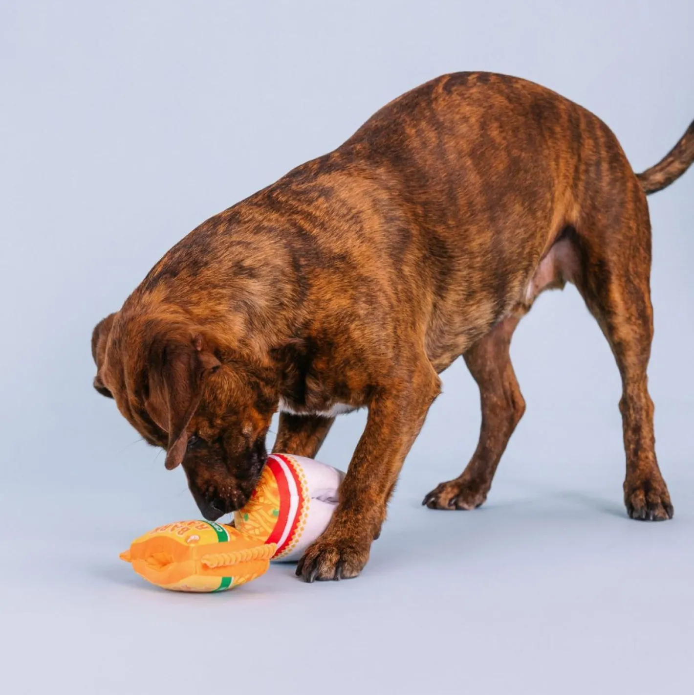 Fringe Studio Nothin But Noodles 2-piece Plush Dog Toys Online
