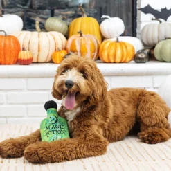 Fringe Studio Plush Bottle Squeaker Dog Toy - Going Through The Potions Fashion
