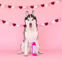 Fringe Studio Plush Bottle Squeaker Valentine's Dog Toy -  Love You More Than Wine Outlet