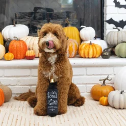 Fringe Studio Plush Squeaker Dog Toy - Slow Bones Bottle Pinot Noir Sale