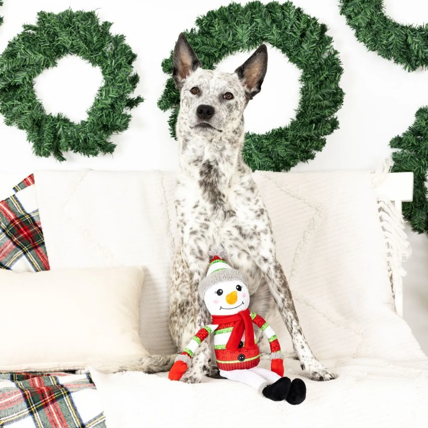 Fringe Studio Too Cute To Chill Plush Squeaker Extra Long Christmas Dog Toy Best