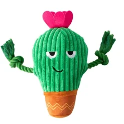 Fringe Studio You Grow Chica! Cactus Plush Dog Toy Best