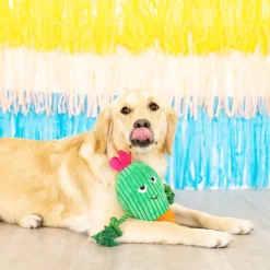 Fringe Studio You Grow Chica! Cactus Plush Dog Toy Best