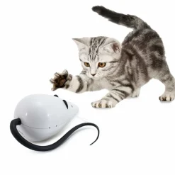 Frolicat Rolorat Automatic Interactive Cat Teaser Toy Fashion