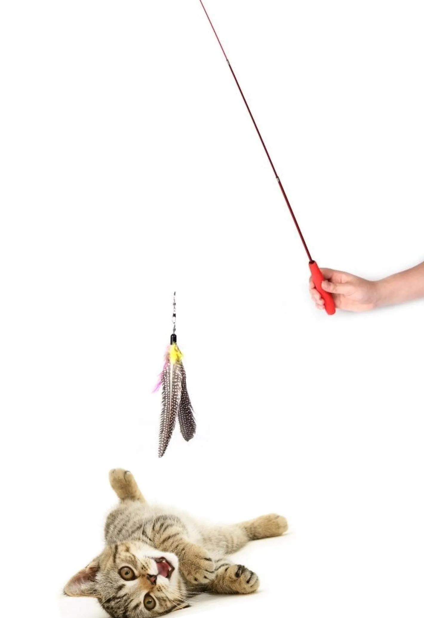 Go Cat Da Bird Pull-Apart Wand Cat Feather Teaser Fashion