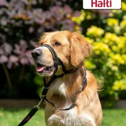 Halti Headcollar – Gentle Control Halter for Dogs That Pull Fashion