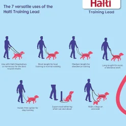 Halti Headcollar – Gentle Control Halter for Dogs That Pull Fashion