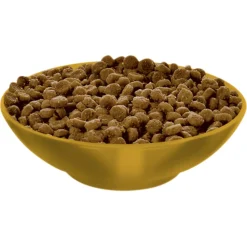 Hills Science Diet Adult 11+ Age Defying Dry Cat Food Outlet