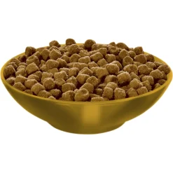 Hills Science Diet Adult 7+ Active Longevity Dry Cat Food Sale