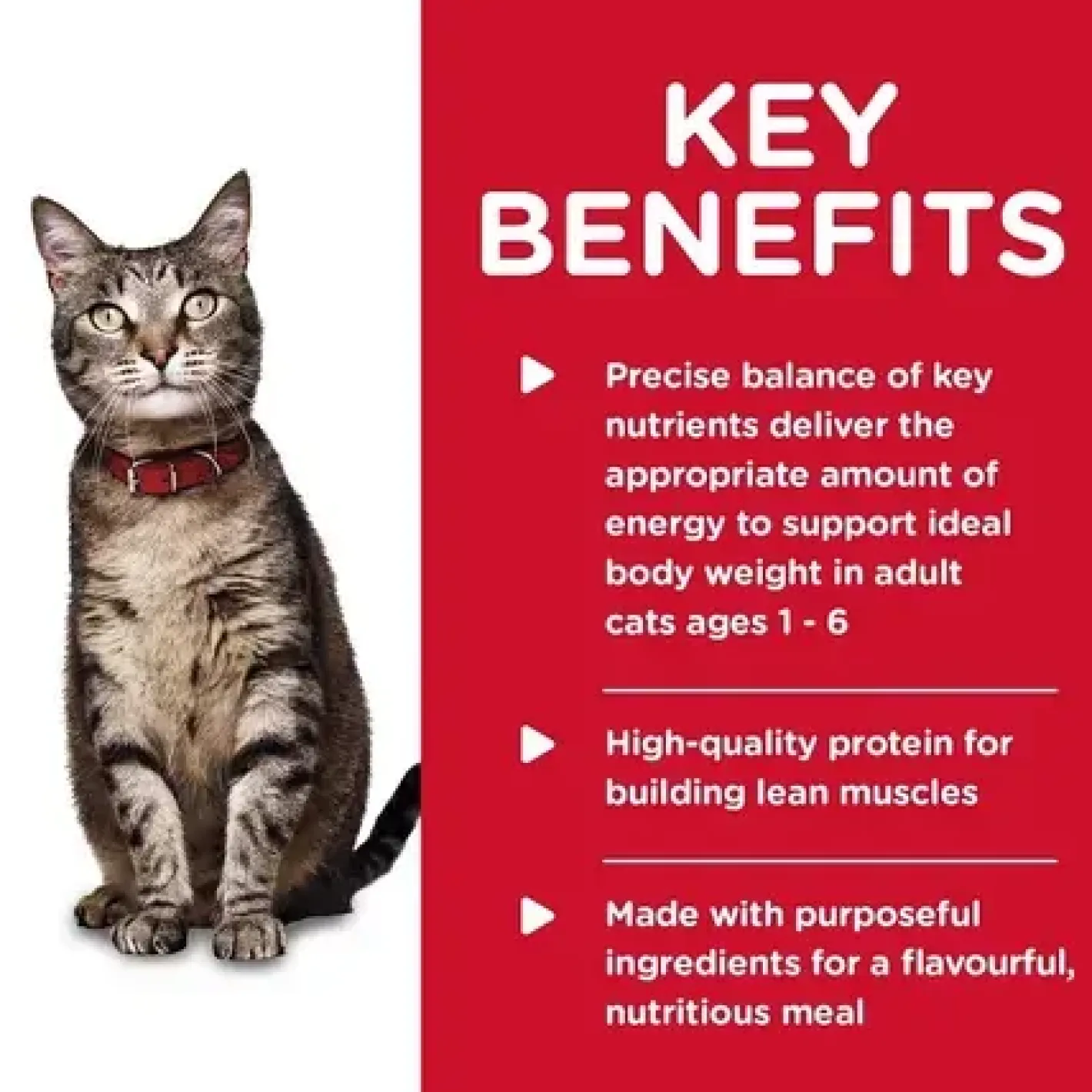 Hills Science Diet Adult Tender Dinners Chicken Cat Food 156g x 24 Cans Outlet