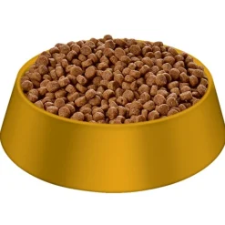Hills Science Diet Adult 11+ Small & Toy Breed Age Defying Dry Dog Food Fashion