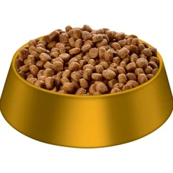 Hills Science Diet Adult 7+ Active Longevity Small Bites Dry Dog Food 2kg Clearance