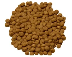 Hills Science Diet Adult Advanced Fitness Dry Dog Food Best