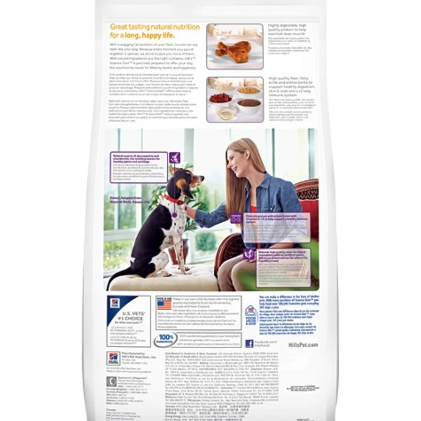 Hills Science Diet Adult Large Breed Dry Dog Food 12kg Online