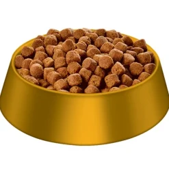 Hills Science Diet Adult Large Breed Dry Dog Food 12kg Online