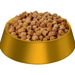 Hills Science Diet Adult Large Breed Light Dog Food 12kg Fashion