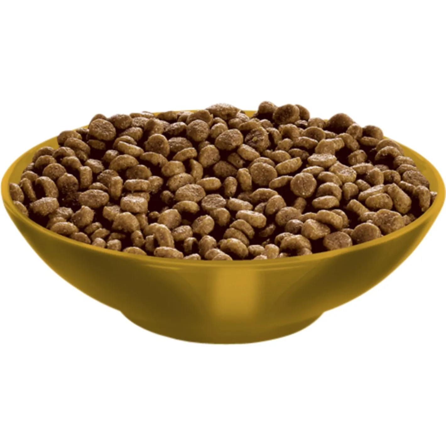 Hills Science Diet Kitten Healthy Development Dry Cat Food Clearance