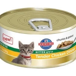 Hills Science Diet Kitten Tender Dinners Chicken Cat Food 156g x 24 Cans New
