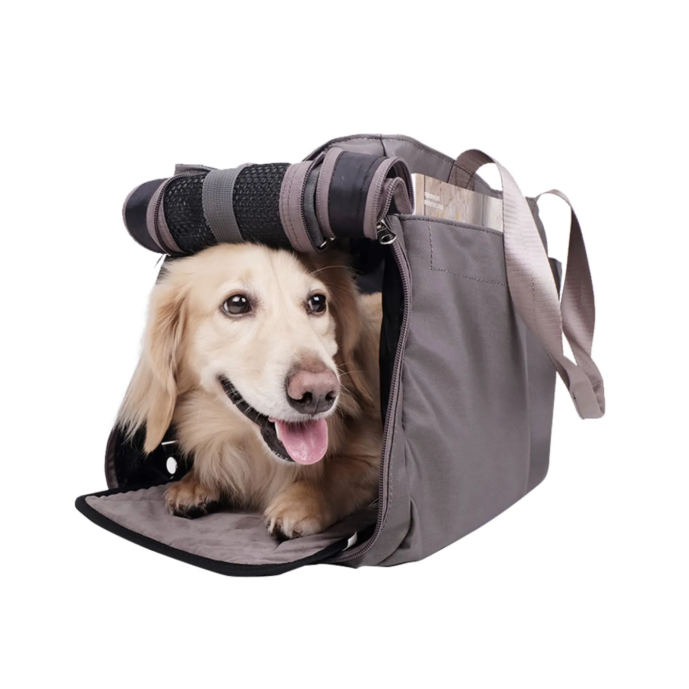 Ibiyaya Canvas Pet Carrier Tote for Cats & Dogs - Grey New