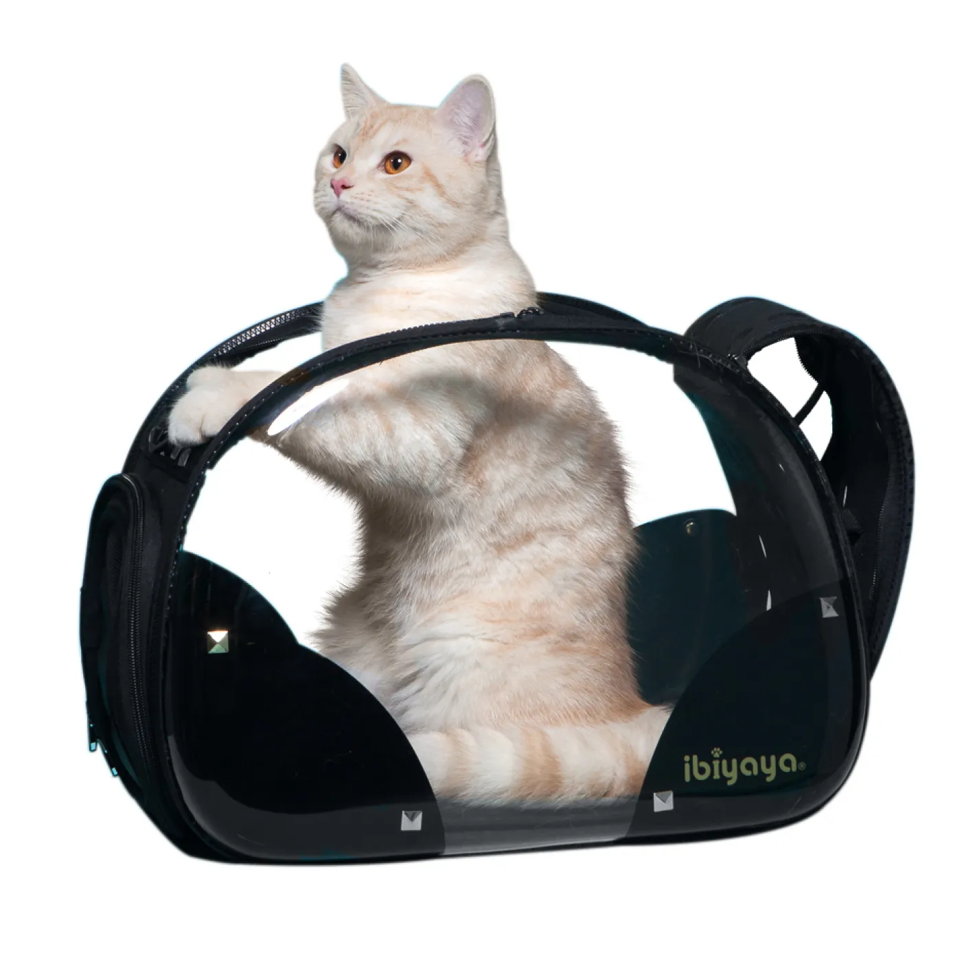 Ibiyaya Hard Rock Transparent Hardcase Pet Carrier Fashion