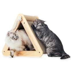 Ibiyaya Hideout Wooden Cat Scratching Post with Replaceable Cardboard Inserts Best