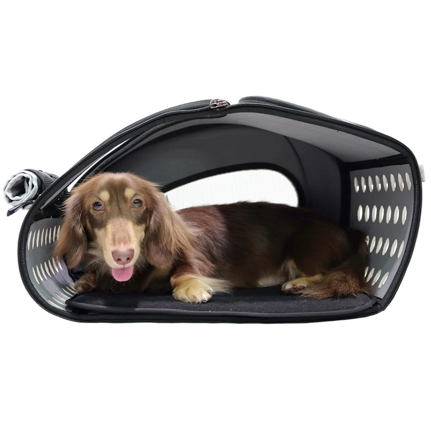 Ibiyaya 5-in-1 Combo EVA Pet Carrier & Stroller and Backpack - Royal Blue Clearance