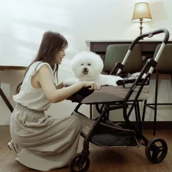 Ibiyaya InstaCollapse 2-in-1 Dog Stroller & Car Seat Carrier | Fold, Go, & Travel with Ease Sale