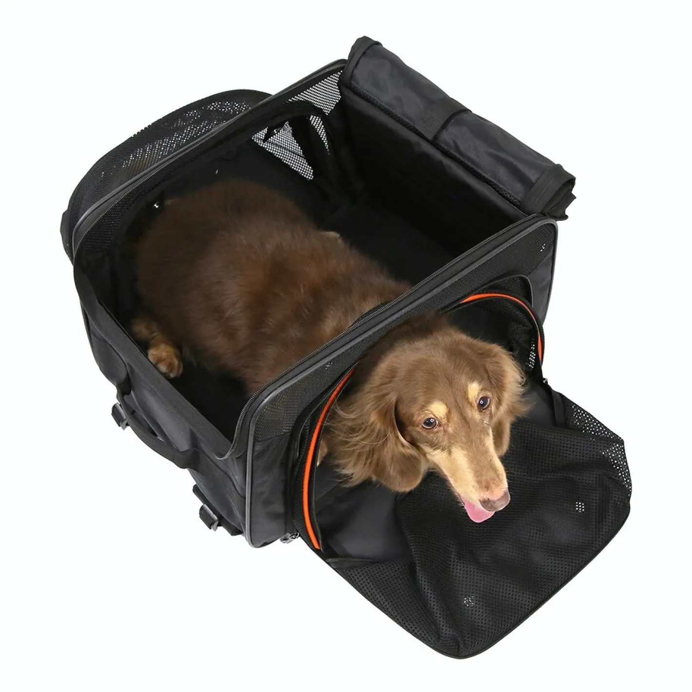 Ibiyaya JetPaw: Expandable Pet Carrier & Backpack - Obsidian/Orange Online