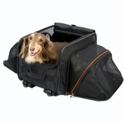 Ibiyaya JetPaw 3-in-1 Pet Stroller with Removable Carrier Discount