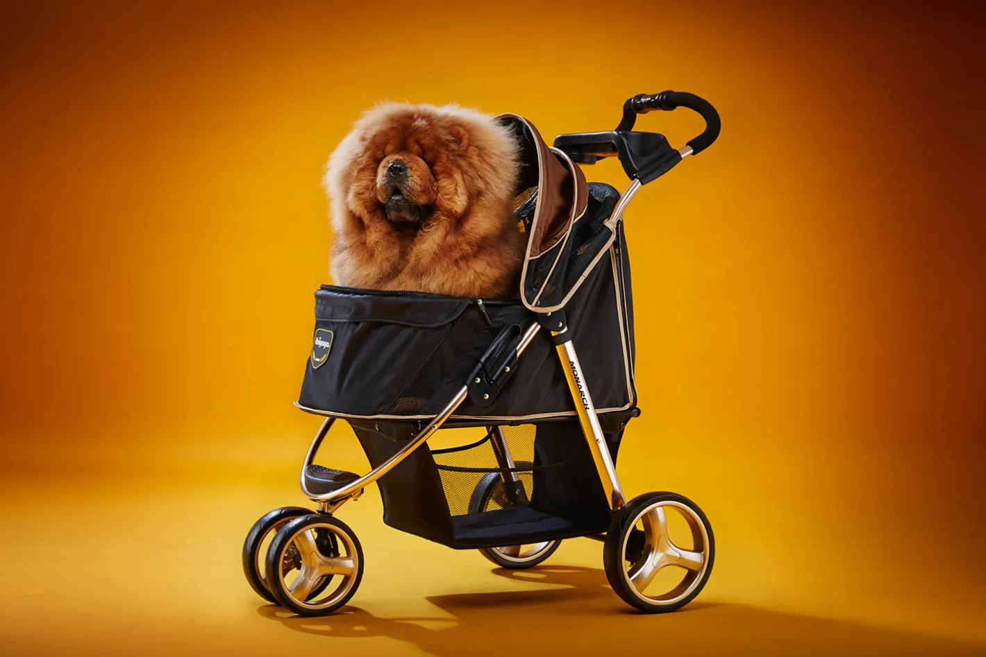 Ibiyaya "Monarch" Premium Pet Jogger Stroller - Luxury Gold Outlet