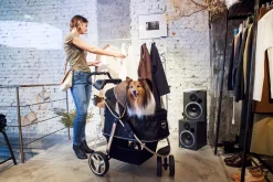 Ibiyaya "Monarch" Premium Pet Jogger Stroller - Luxury Gold Outlet