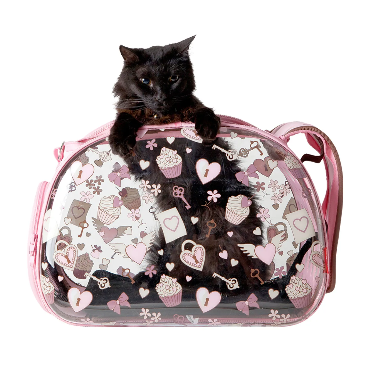 Ibiyaya Transparent Pet Carrier - Pink Valentine Best