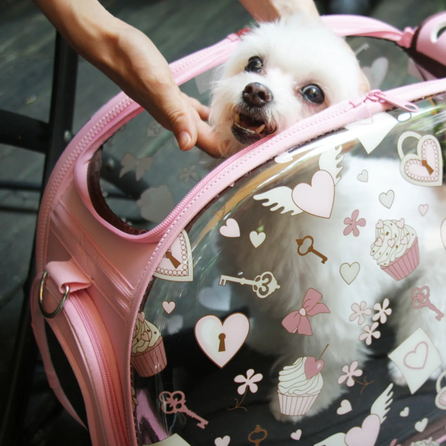 Ibiyaya Transparent Pet Carrier - Pink Valentine Best