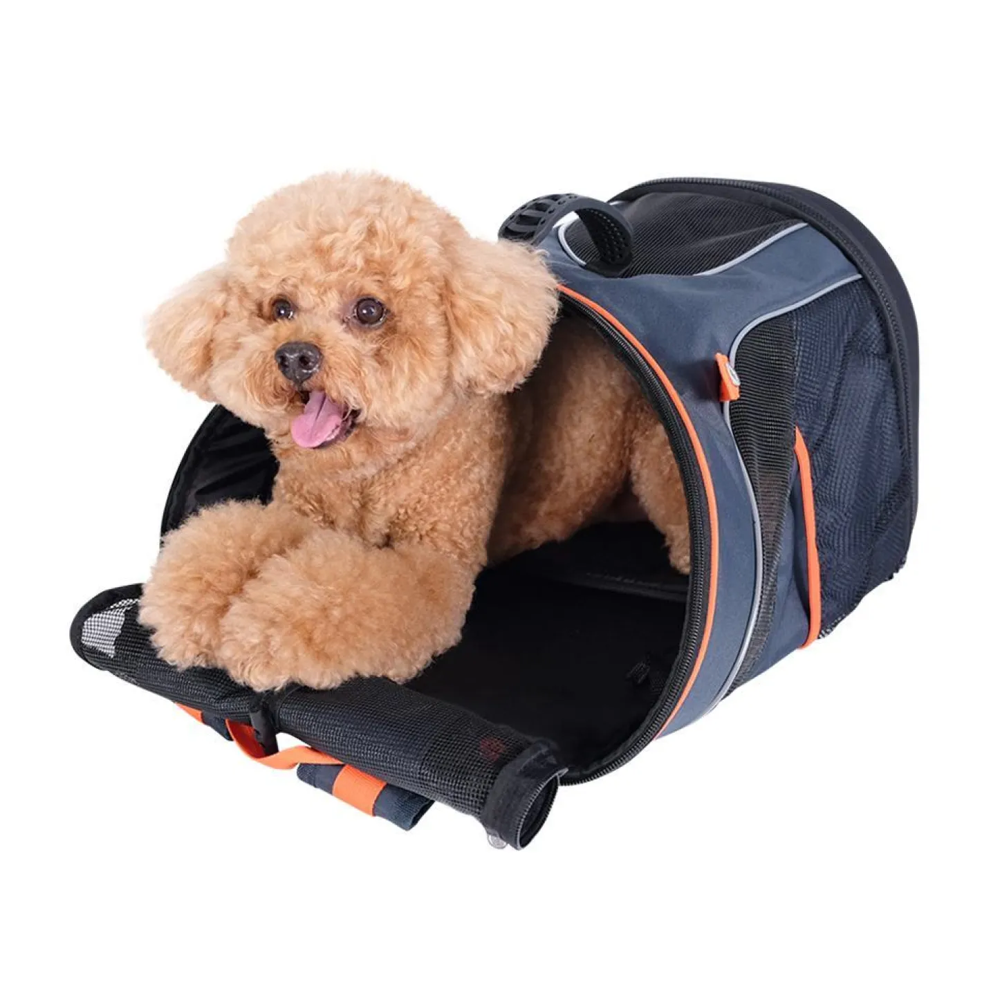 Ibiyaya Ultralight Pro New & Improved Backpack Pet Carrier - Navy Blue Online