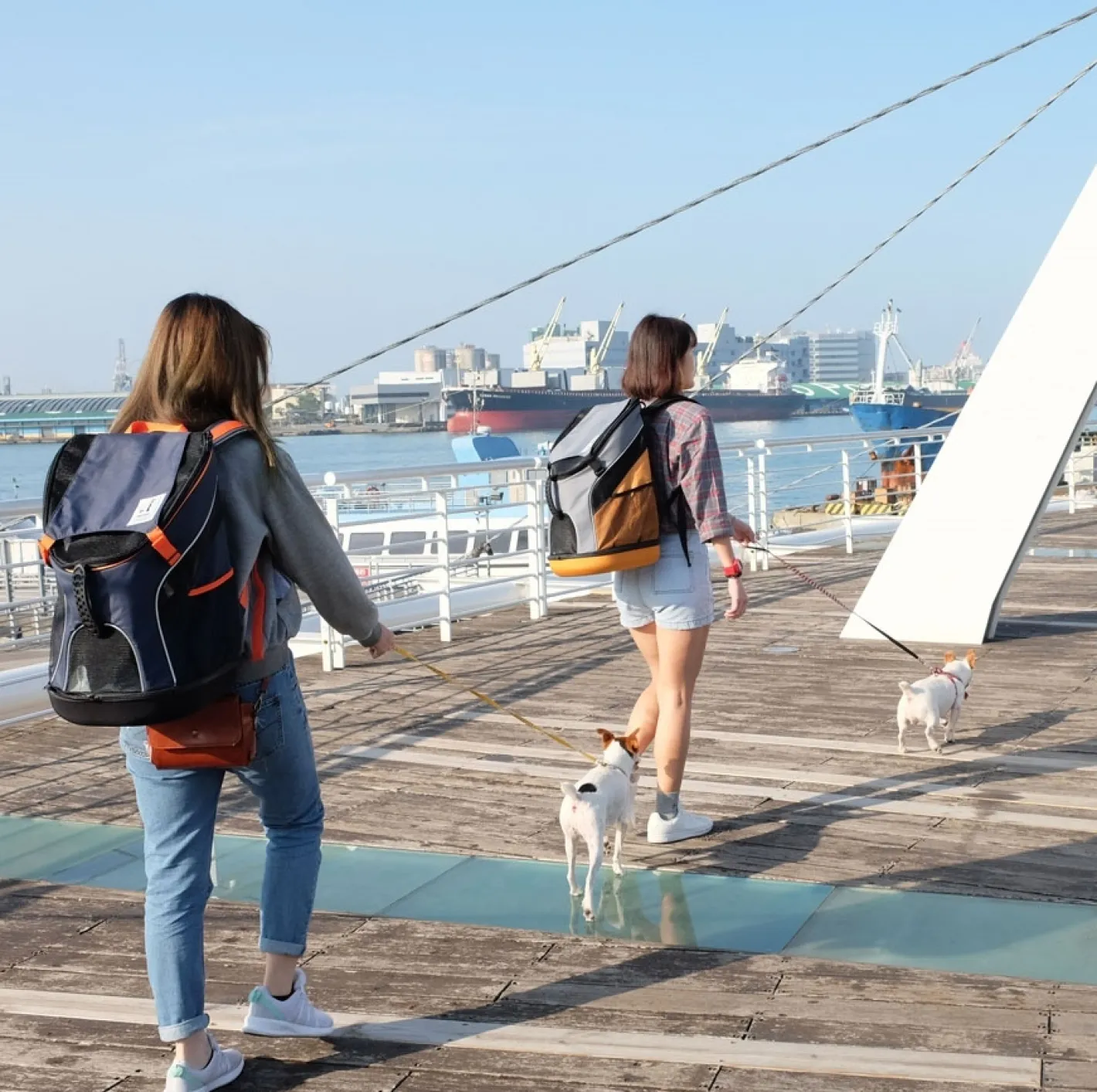 Ibiyaya Ultralight Pro New & Improved Backpack Pet Carrier - Navy Blue Online