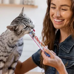 Inaba Cat Churu Meal Topper Treat - Creamy Salmon & Tuna Recipe 24 x 14g Tubes Discount
