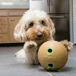 Kong Bamboo Food Ball & Treat Dispenser for Dogs New