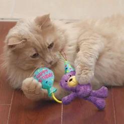 KONG Cat Occasions Birthday Teddy Plush Catnip Cat Toy Hot