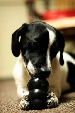 KONG Classic Extreme Black Interactive Dog Toy - for Tough Dogs! New
