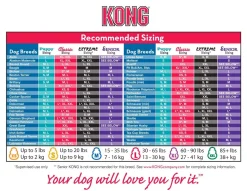 KONG Classic Red Stuffable Non-Toxic Fetch Interactive Dog Toy Best