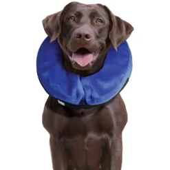 KONG Cloud Soft Elizabethan Cat and Dog Protective Medical Collar Outlet