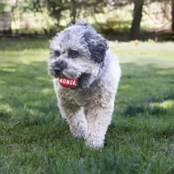 KONG Durable High Bounce Signature Dog Fetch Balls 2-pack Sale