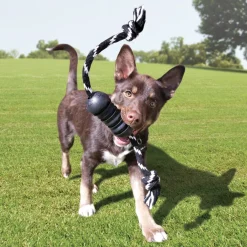 KONG Extreme Dental Tough Dog Toy - Large Best