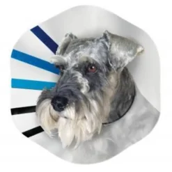 KONG EZ Clear Elizabethan Medical Collar for Cats & Dogs Clearance