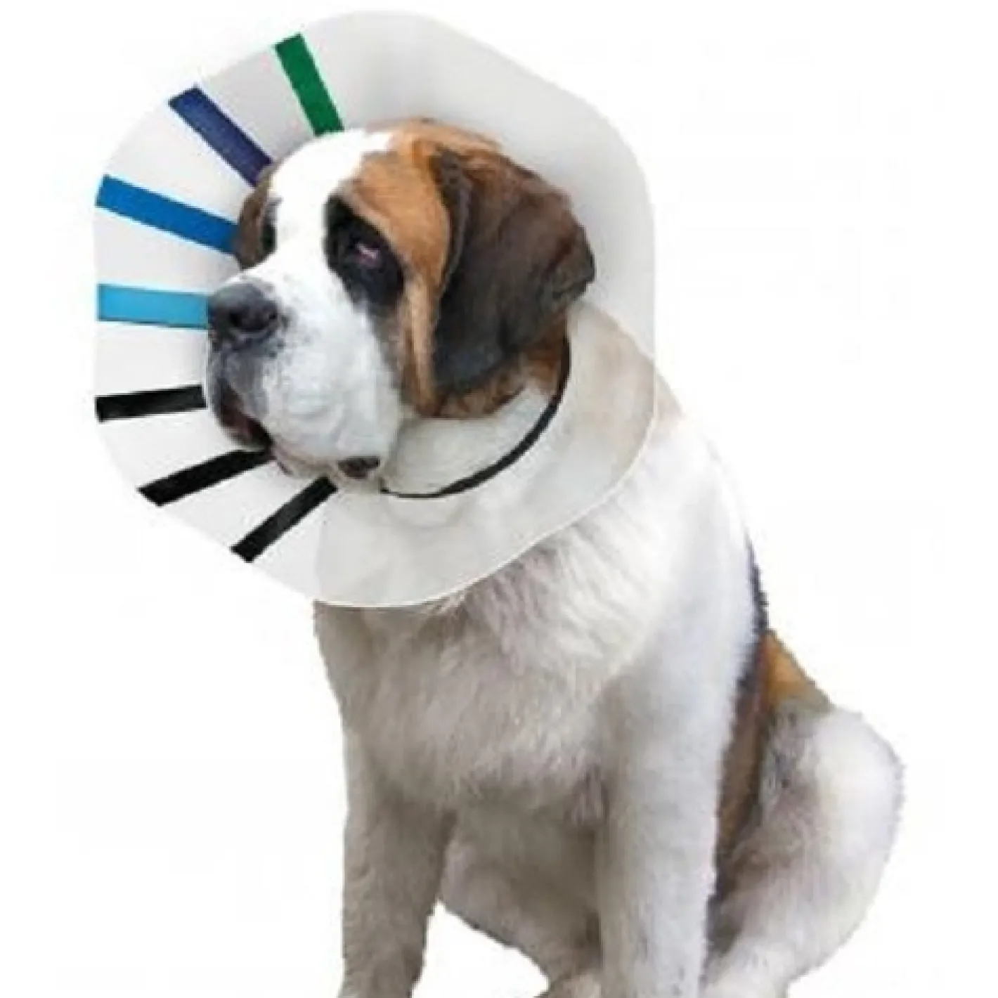 KONG EZ Clear Elizabethan Medical Collar for Cats & Dogs Clearance