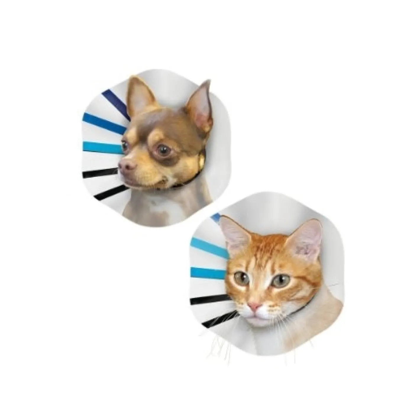 KONG EZ Clear Elizabethan Medical Collar for Cats & Dogs Clearance