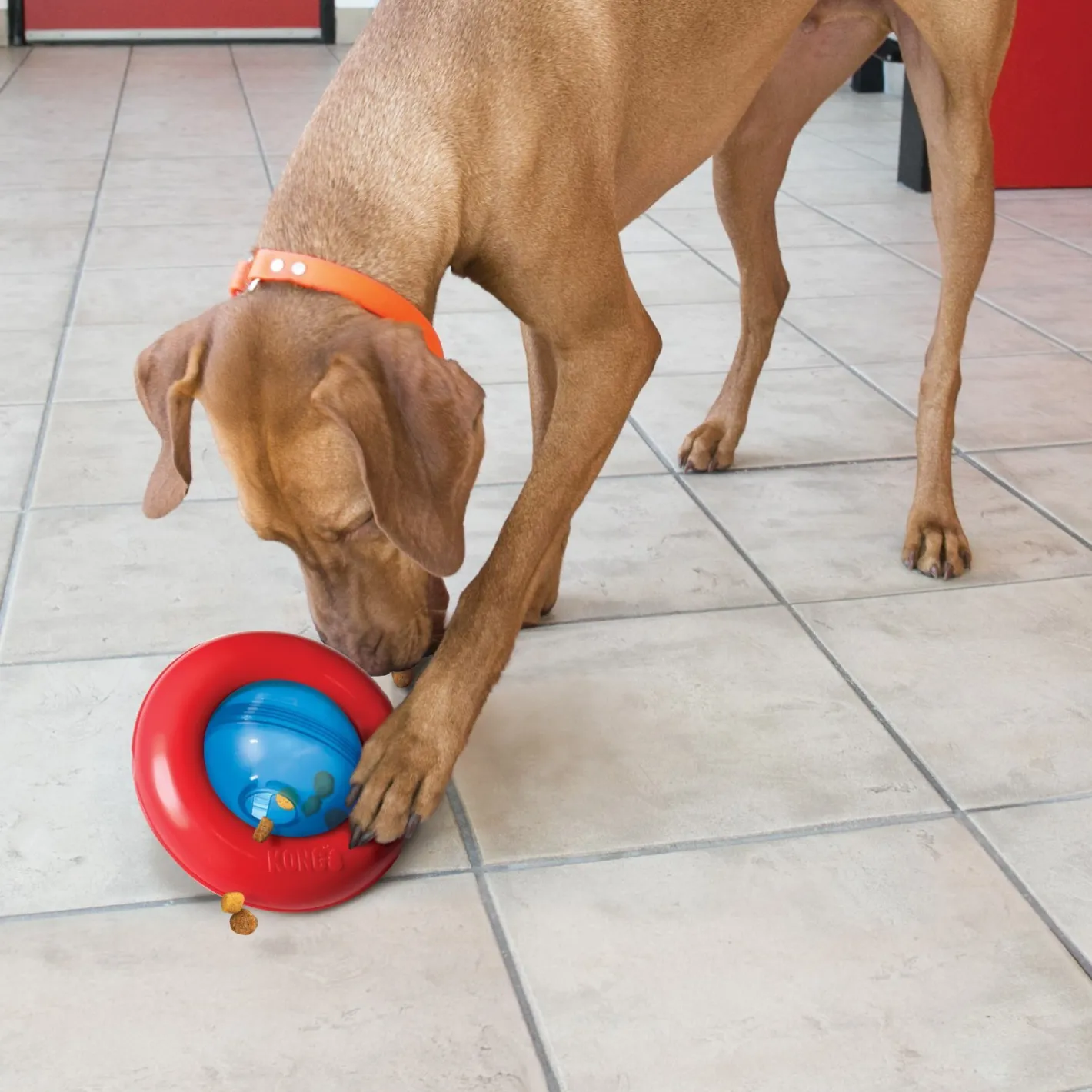 KONG Gyro Treat Dispensing Wobbler Dog Toy New